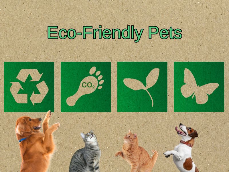 Eco-Conscious Pet Parenting: A Guide to Sustainable Pet Parenting
