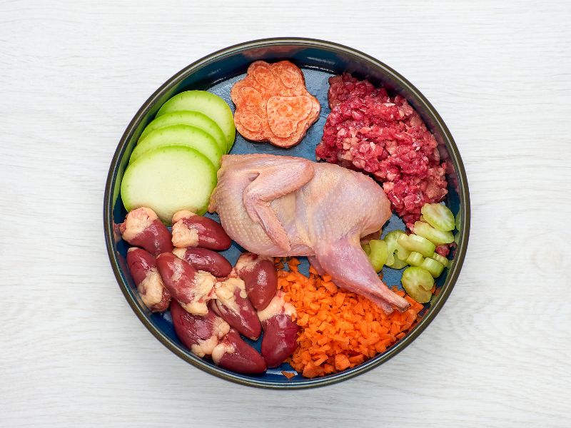 Raw Food Diets for Dogs