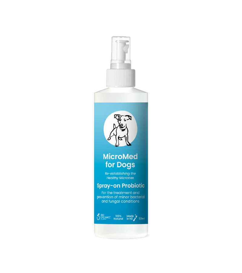 MicroMed for Dogs Acute Care