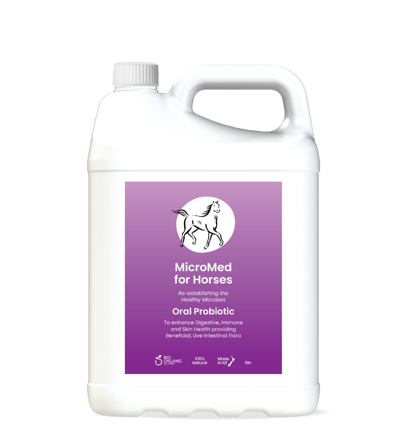 MicroMed for Horses Everyday Care